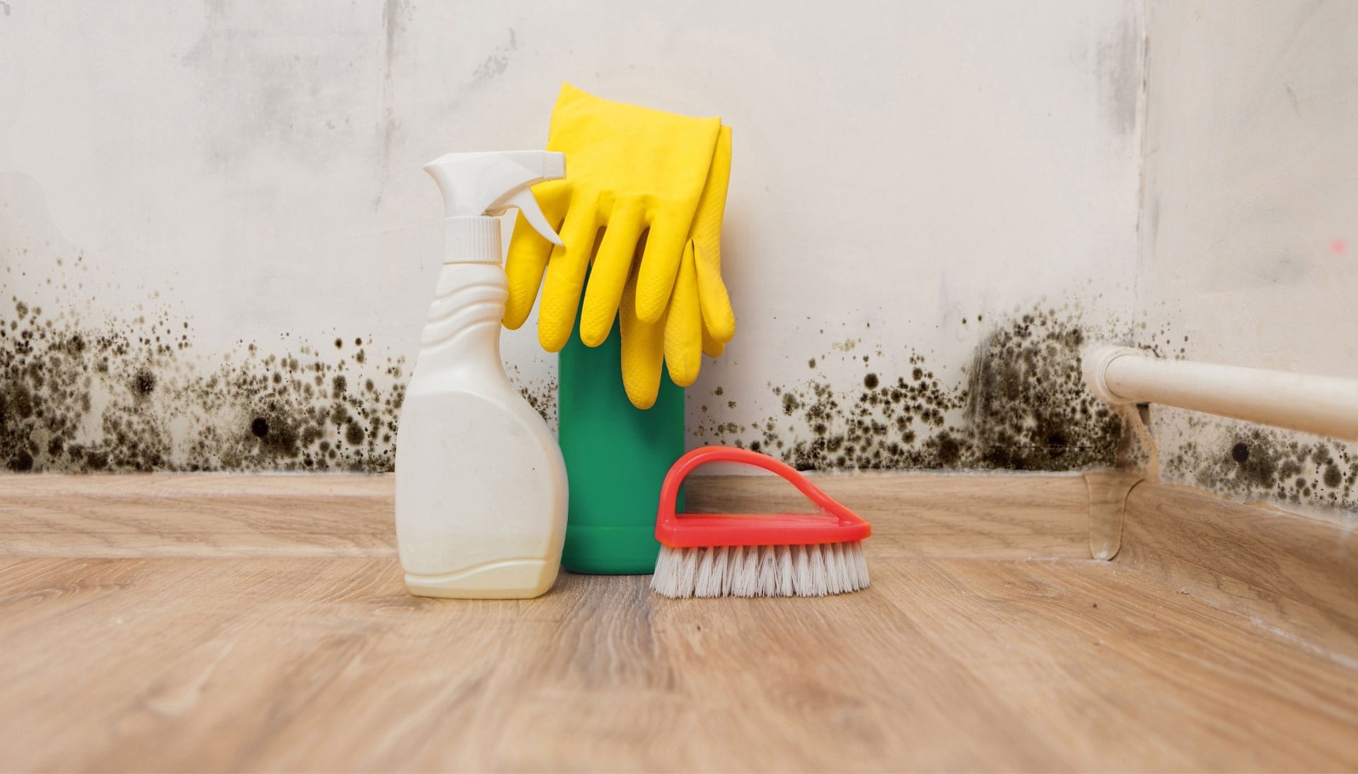 Know About Mold Removal In Lawrenceville