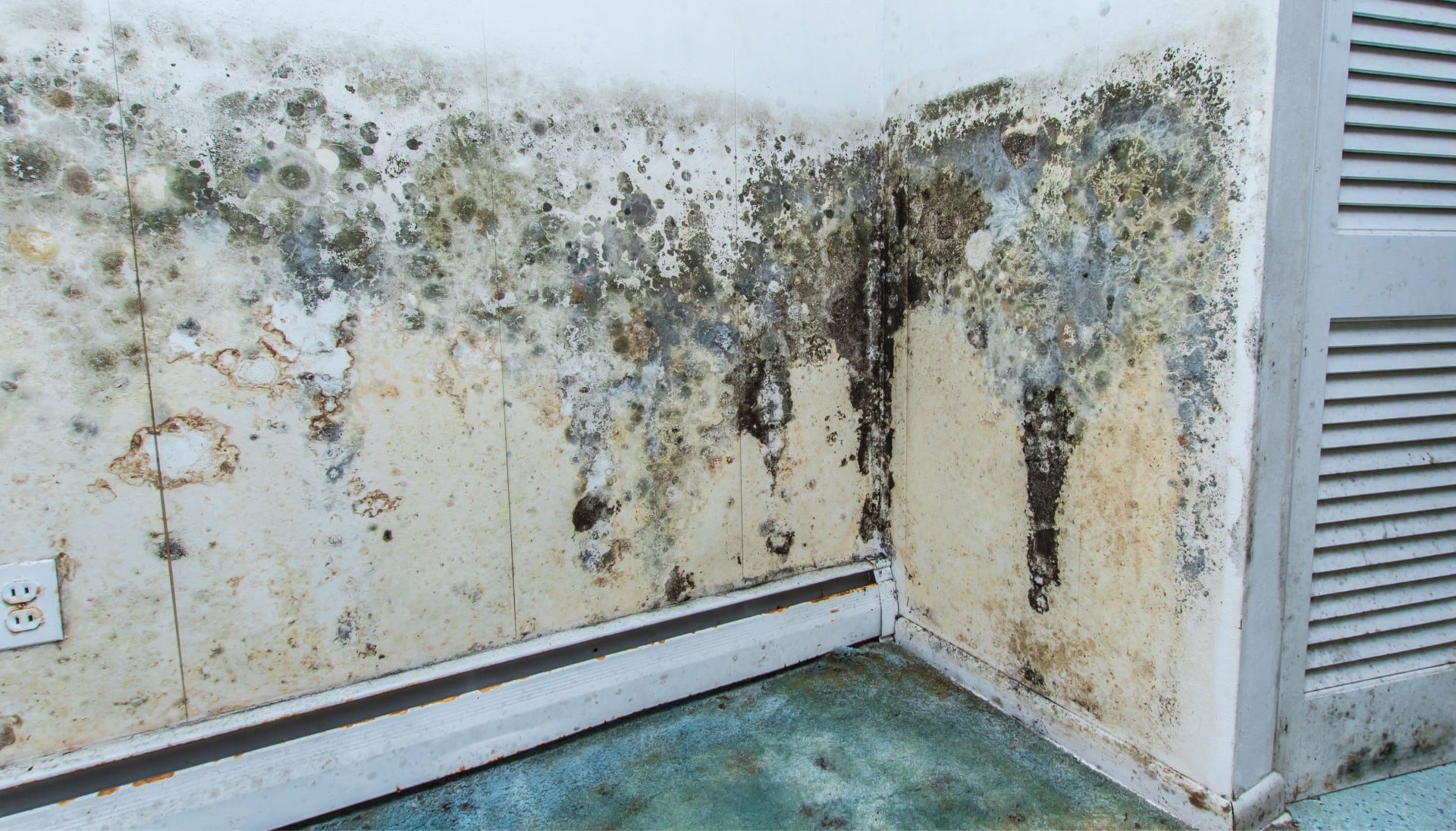Mold Damage Odor Control Services in Lawrenceville