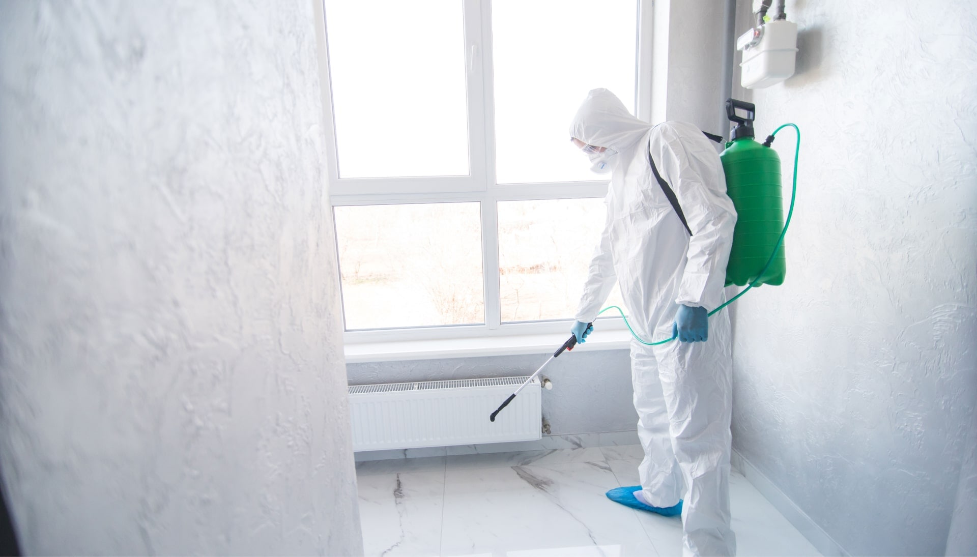 Mold Inspection Services in Lawrenceville